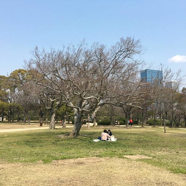 2018大阪城公园门票,大阪大阪城公园游玩攻略