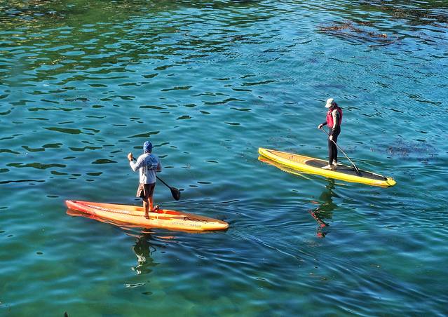蒙特雷渔人码头