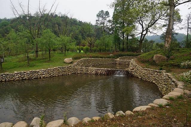 湖州梁希森林公园