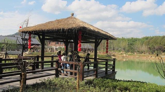 湖州梁希森林公园