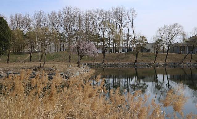 圆明园遗址公园-绮春园景区