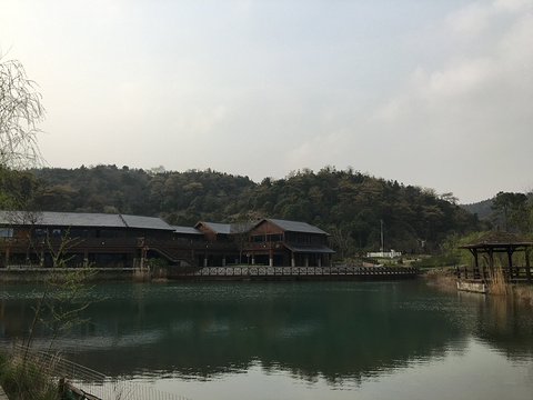 湖州梁希森林公园