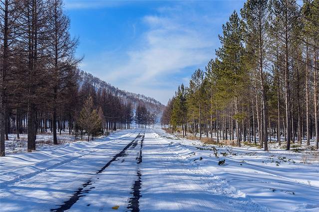 塞罕坝国家森林公园
