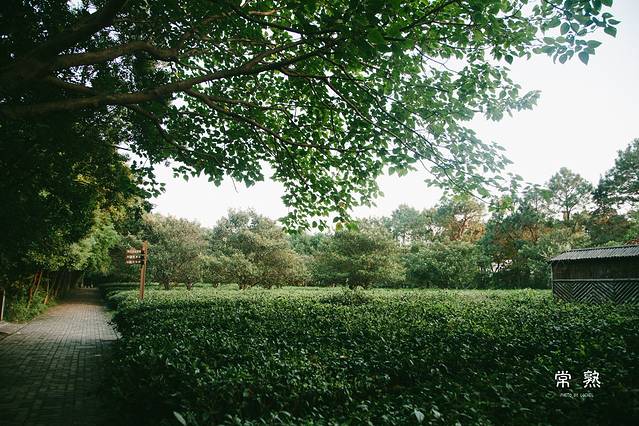 宝岩生态观光园