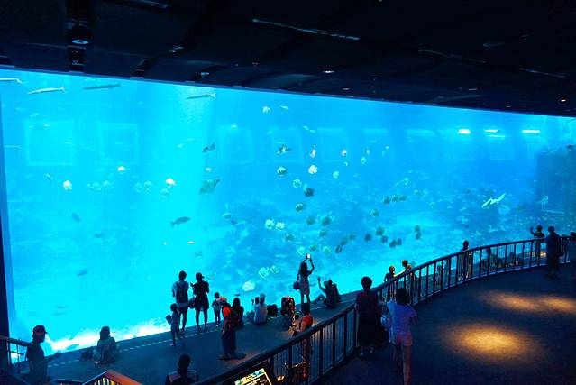 新加坡海洋生态馆