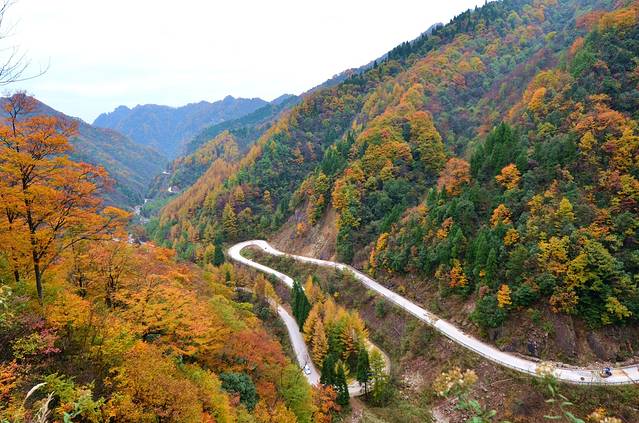 光雾山旅游景区