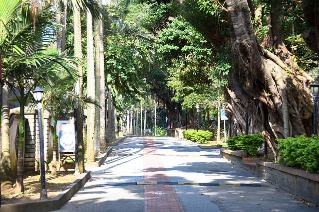 淡水阿给淡江高中老店