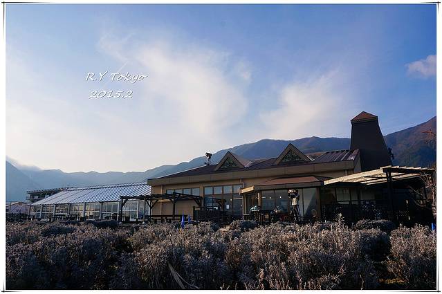 河口湖自然生活馆