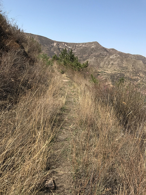 2丫 满山的荒坡，我们只能自己找乐趣，而且恒山不太高，所以我们决定放