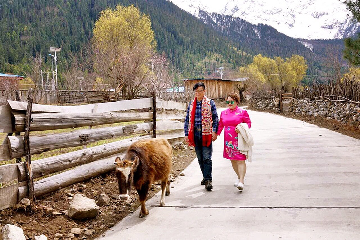 2018林芝地区的村庄都好看,藏族的房屋也是五