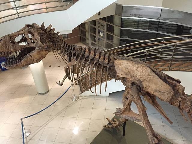 加州大学伯克利分校