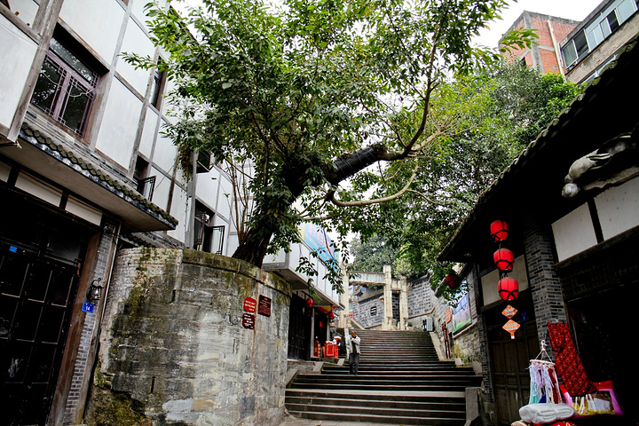 中山市古镇镇_2018年古镇镇gdp(3)