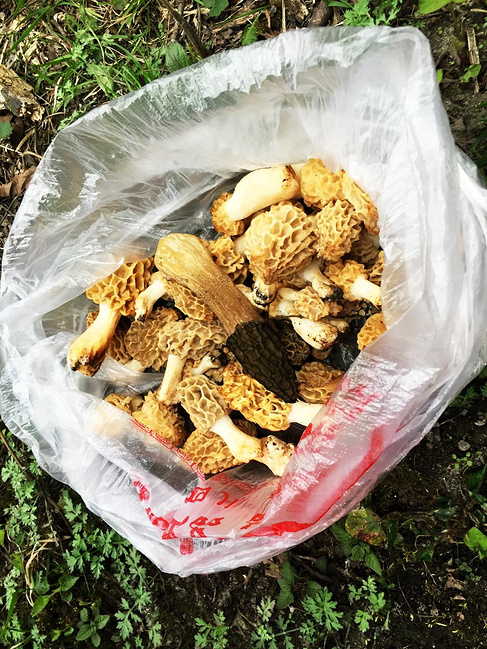 大山的礼物图片 大山的礼物图片