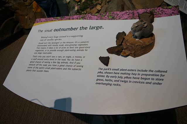 丹奈利国家公园