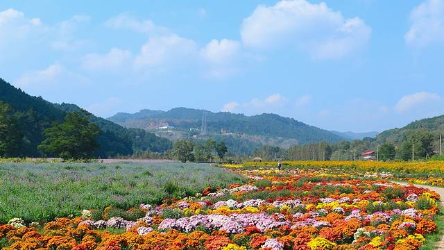 玉华宫风景名胜区