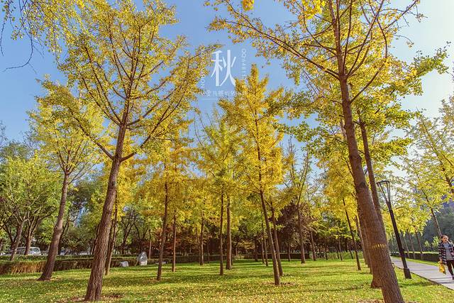 唐城墙遗址公园