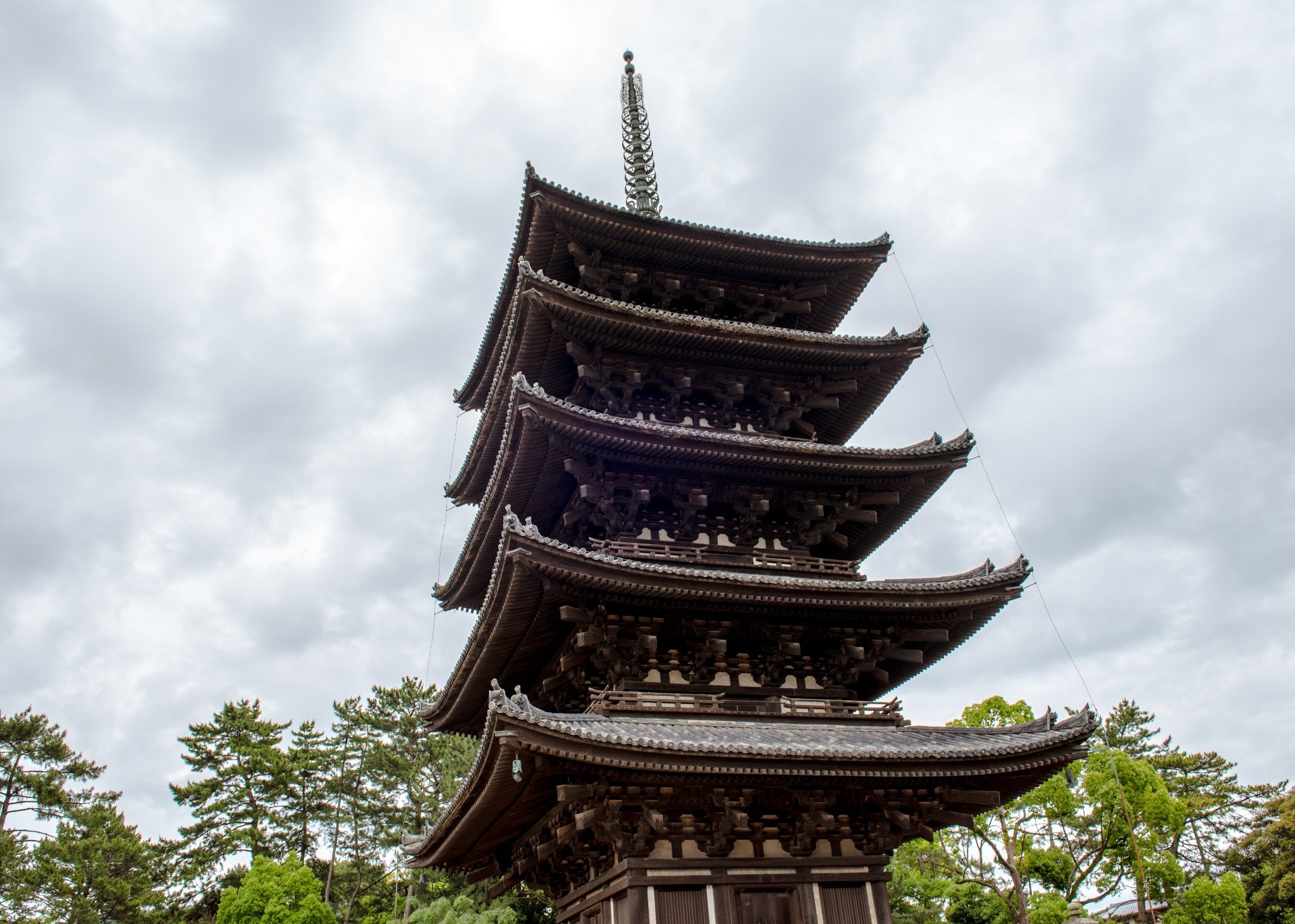 身影倒映在猿泽池中的兴福寺五重塔是奈良的标志性风景终于终于终于