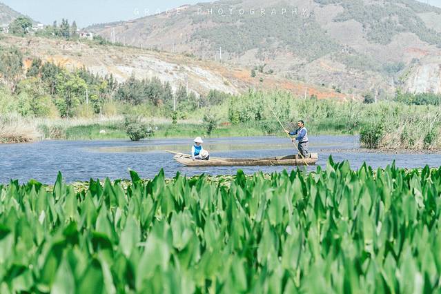 洱海月湿地公园