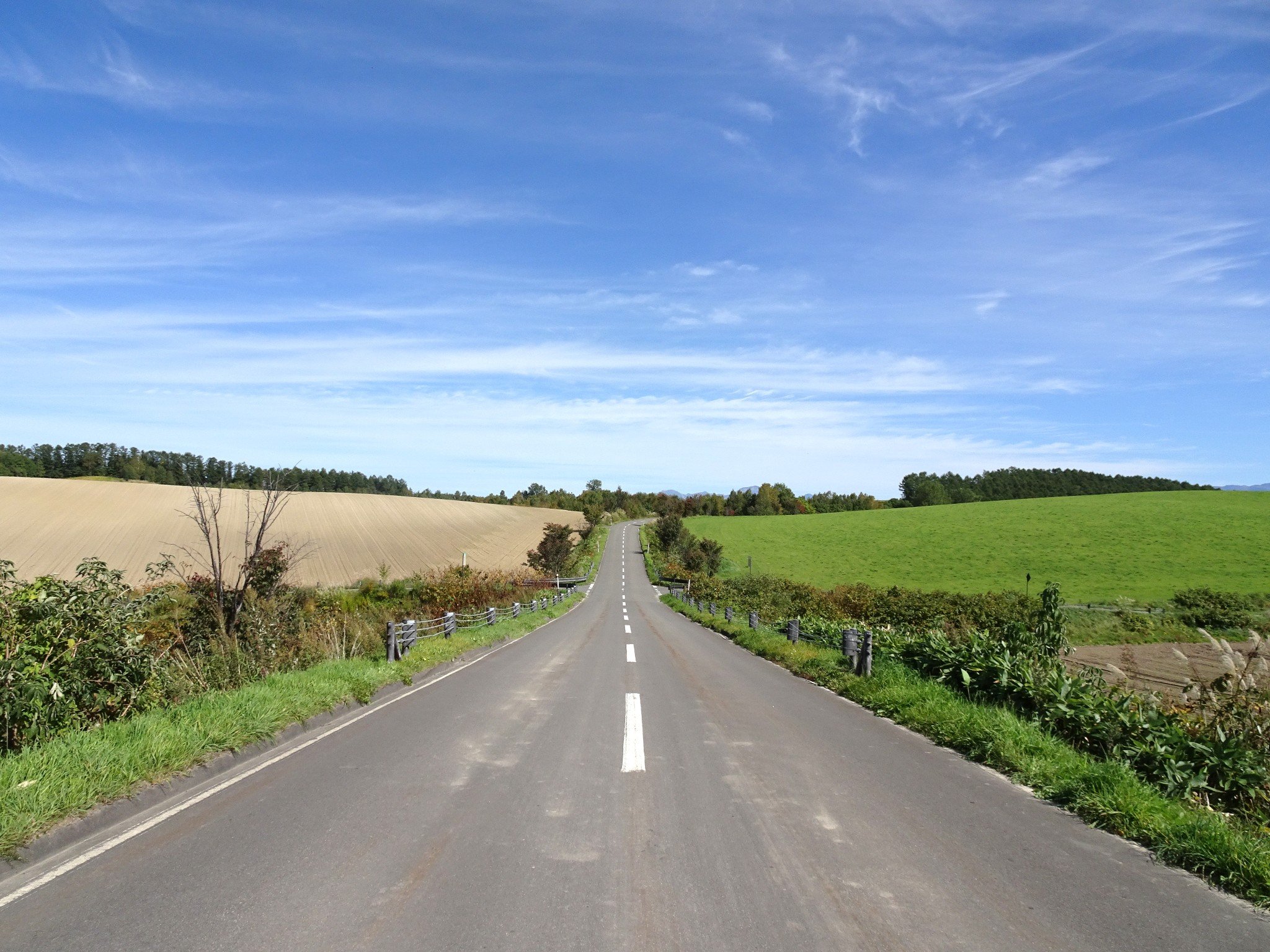 高处风光无限好,上坡真的挺累的.继续路上的风光.