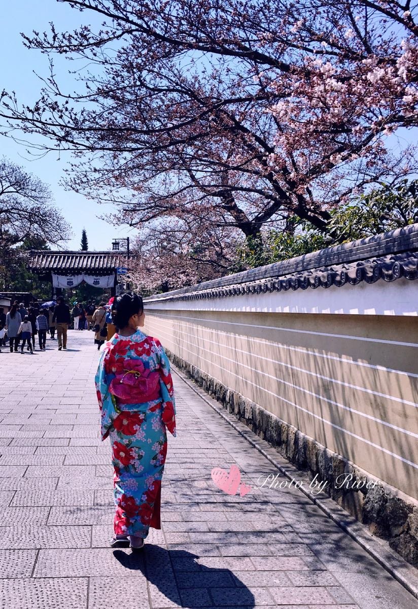和服的母女,看到小女孩,立刻想到了《一休哥》里的小叶子,看着背影