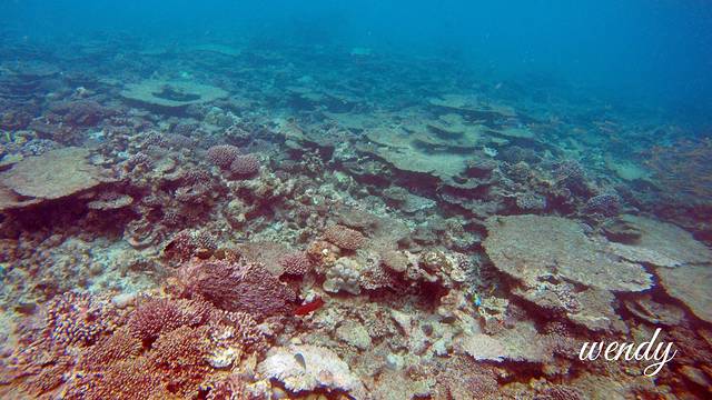 兰达吉拉瓦鲁岛