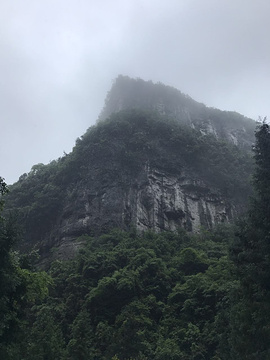 武隆