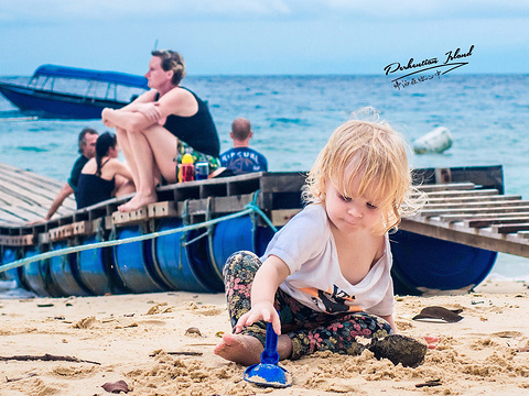 Turtle Sanctuary Beach旅游景点攻略图