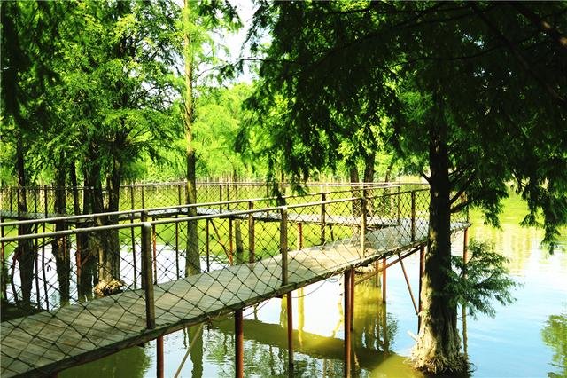 青山湖国家森林公园