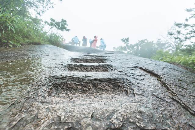 玉苍山森林公园