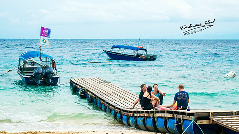 Turtle Sanctuary Beach旅游景点攻略图