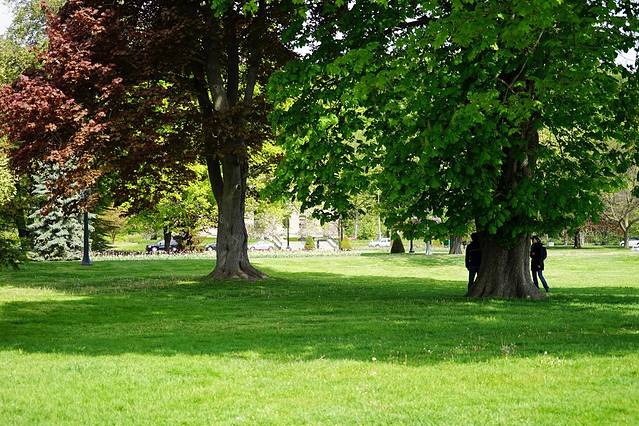 维多利亚女王公园