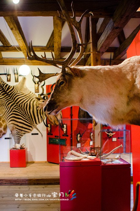 瓦尔德玛斯古堡