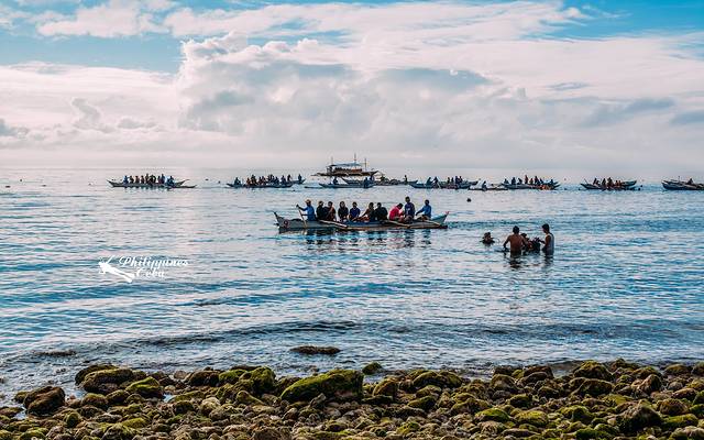 奥斯洛布鲸鲨观赏