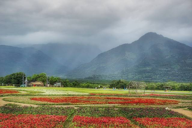 大农大富平地森林园区
