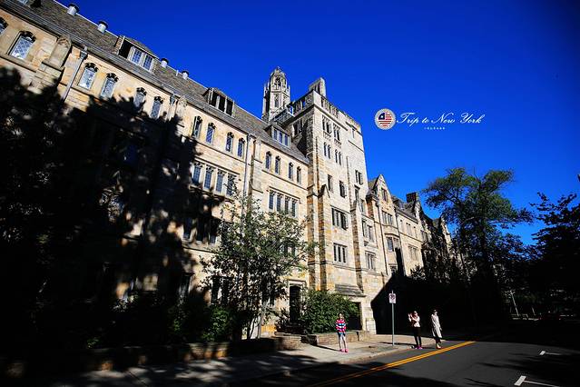 耶鲁大学