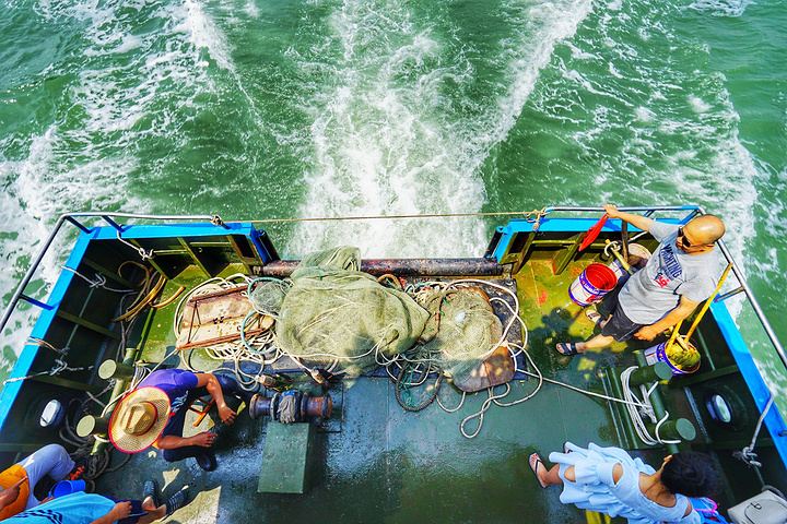 桃花岛出海捕鱼
