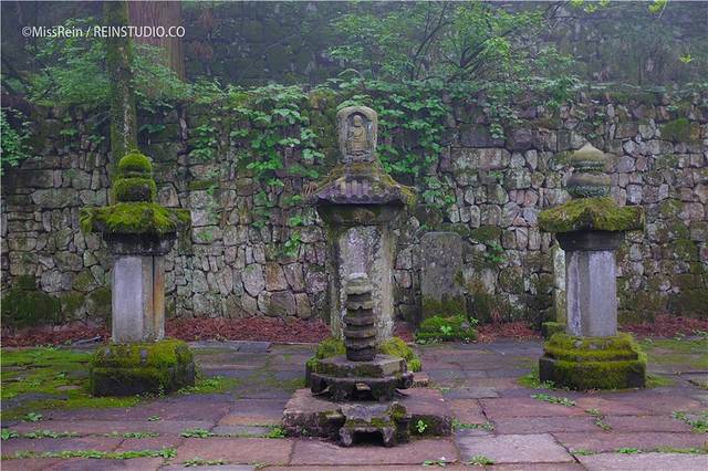 天目山自然保护区-五世同堂