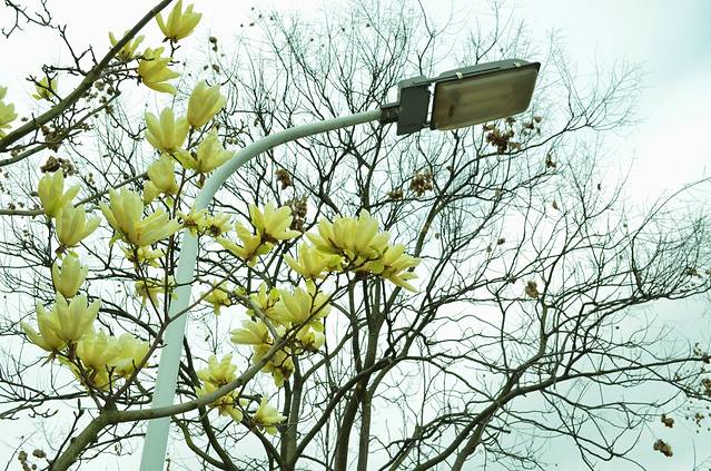 中南大学(岳麓山校区)