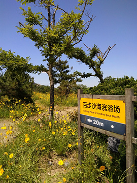 百步沙旅游景点攻略图