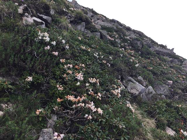 太白山国家森林公园-大文公庙