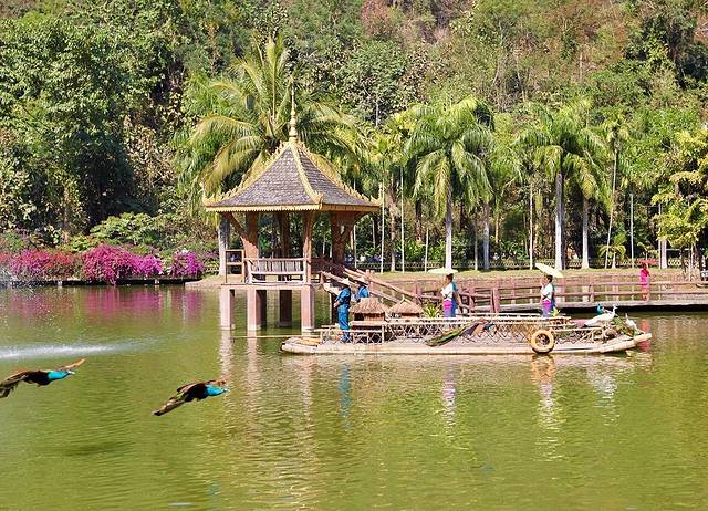 西双版纳原始森林公园