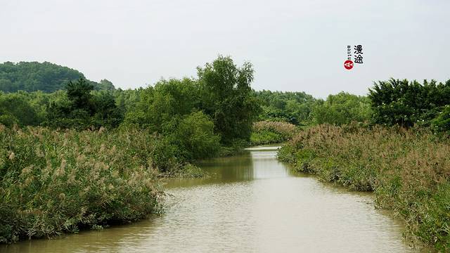 红树林海滨生态公园