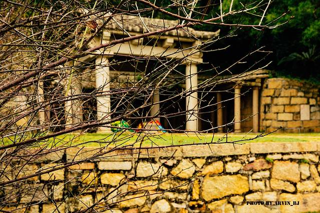 灵山伊斯兰圣墓