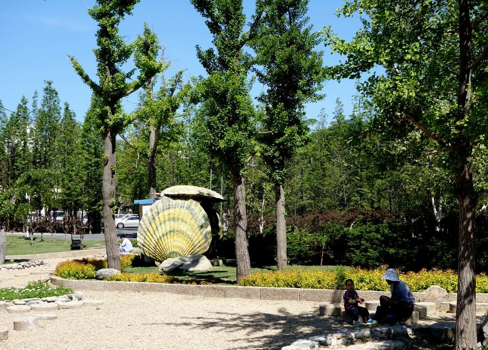 摄于大连付家庄公园摄于大连付家庄公园摄于大连付家庄公园摄于大连付
