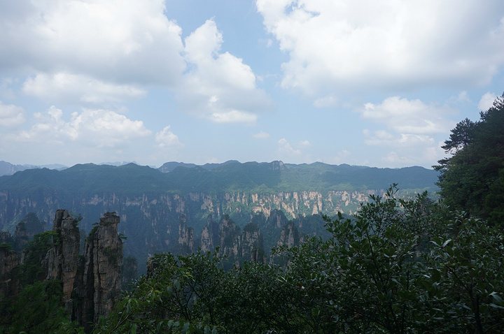 天朦朦亮,客栈老板开车带着去看日出 在老屋场