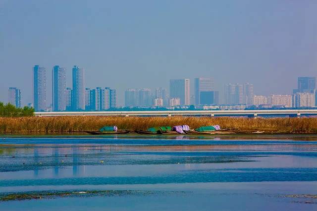 武汉后官湖国家湿地公园