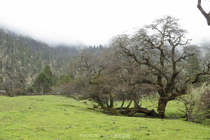 在地球上最高的绿色秘境南伊沟邂逅中国人口最