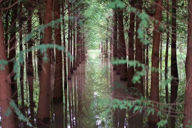 捞鱼河湿地公园