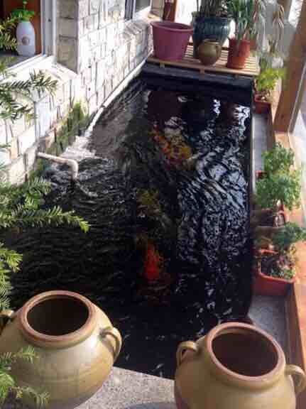 胜美斋带皮羊肉·羊汤(牧城驿店)