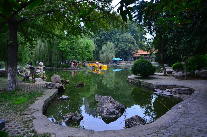 王城公园最主要最著名的也许就是牡丹展了吧进了王城公园内溜达感觉就